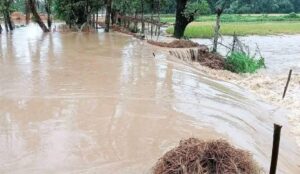 টানা বৃষ্টিতে পাহাড়ি ঢলে সীমান্তবর্তী নিম্নাঞ্চল প্লাবিত