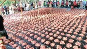 ফুলবাড়ীয়ায় দেশের বৃহত্তম কুরবানীর মাঠে পশু কুরবানী করেছেন মুসল্লীরা