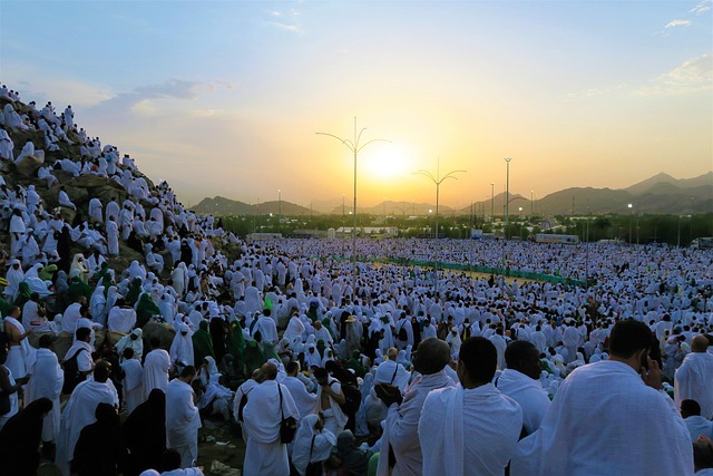আরাফাতের পূণ্য ভূমি