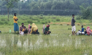 পঞ্চগড় সীমান্তে আটকে ১০ জনকে সরিয়ে নিল বিএসএফ