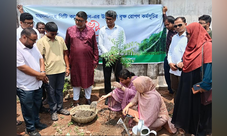 সবুজ নগরী গড়তে এক লাখ গাছ রোপণ করবে মসিক প্রশাসন