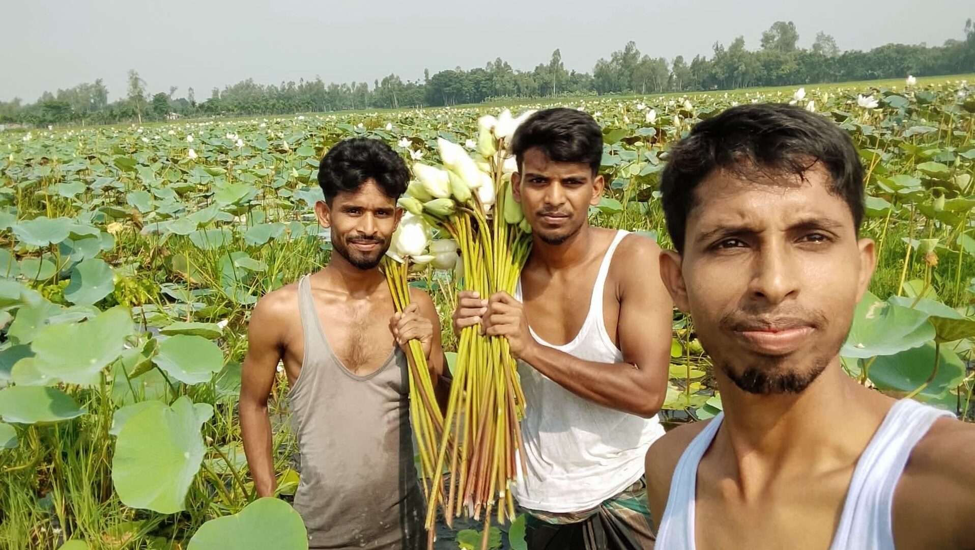 পদ্মবিলে কৈশোরের নস্টালজিয়া ও গ্রামীণ প্রশান্তি