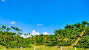 বিশ্ব পর্যটন দিবস: প্রকৃতির টানে যান্ত্রিকতা থেকে মুক্তির আনন্দ