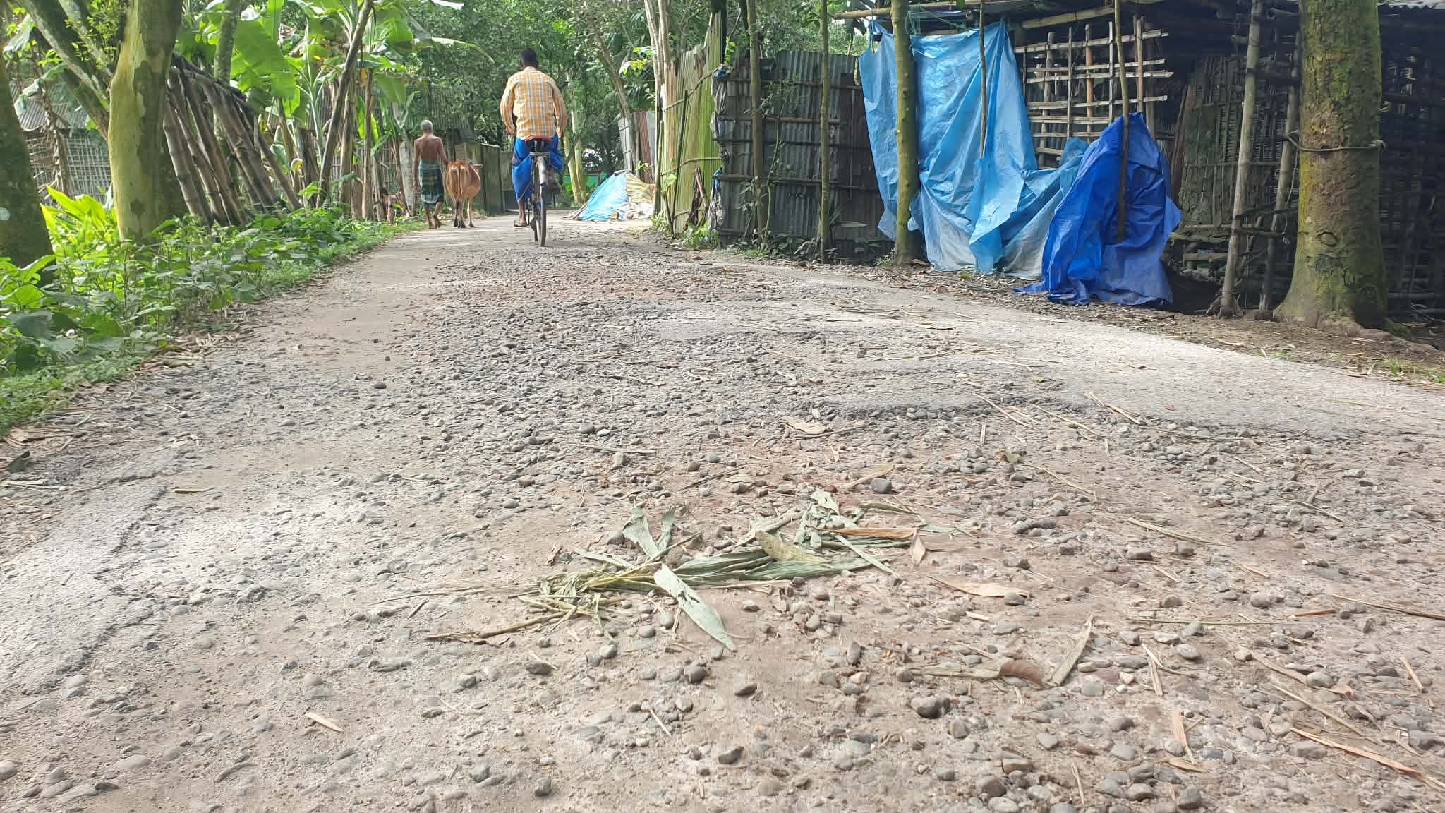 দীঘদিন সংস্কারহীন রুহিয়ার রামনাথ-খুটাখালপাড়া সড়ক