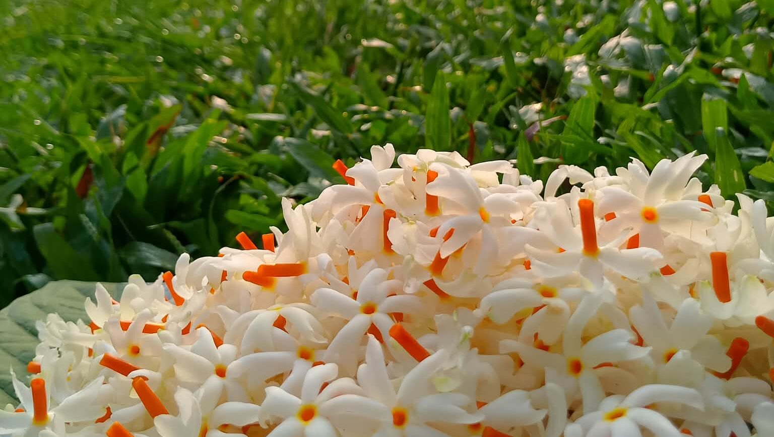 শরতের সাজসজ্জা
