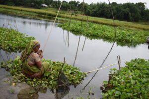 কচুরিপানায় ঢাকা এক মৃতপ্রায় কুমার নদ