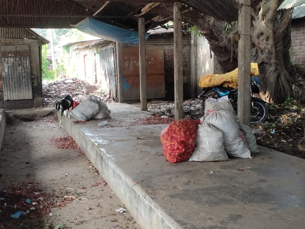 অবকাঠামোহীন রুহিয়া বাংলা বাজার: সড়কে পসরা, জিম্মি সাধারণ মানুষ