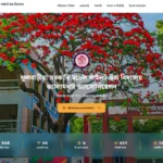 ফুলবাড়ীয়া পাইলট উচ্চ বিদ্যালয়ের প্রাক্তন শিক্ষার্থীদের ওয়েবসাইট প্রকাশ