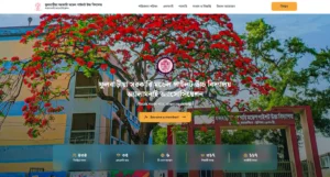ফুলবাড়ীয়া পাইলট উচ্চ বিদ্যালয়ের প্রাক্তন শিক্ষার্থীদের ওয়েবসাইট প্রকাশ