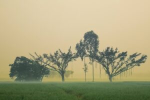 ঋতুর সন্ধিক্ষণে রংপুরে শীতের আগমন