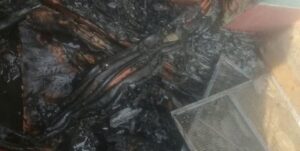 ঠাকুরগাঁওয়ে রুহিয়ায় আগুনে পুড়ে ছাই নিঃস্ব ভ্যান চালকের পরিবার