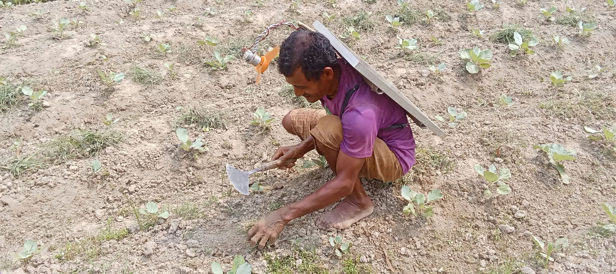 রোদ রুখতে পিঠে সোলার প্যানেল বেঁধে মাঠে নামলেন কৃষক নরেন
